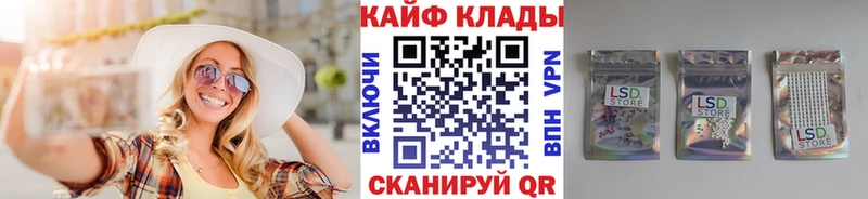 Псилоцибиновые грибы Нелидово