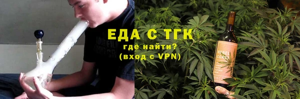 гидра Вяземский