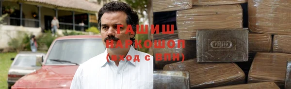соль ск Тайга