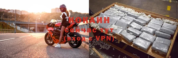 гидра Корсаков